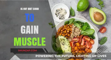 Is Your Diet Optimized for Effective Muscle Gain? Let's Find Out