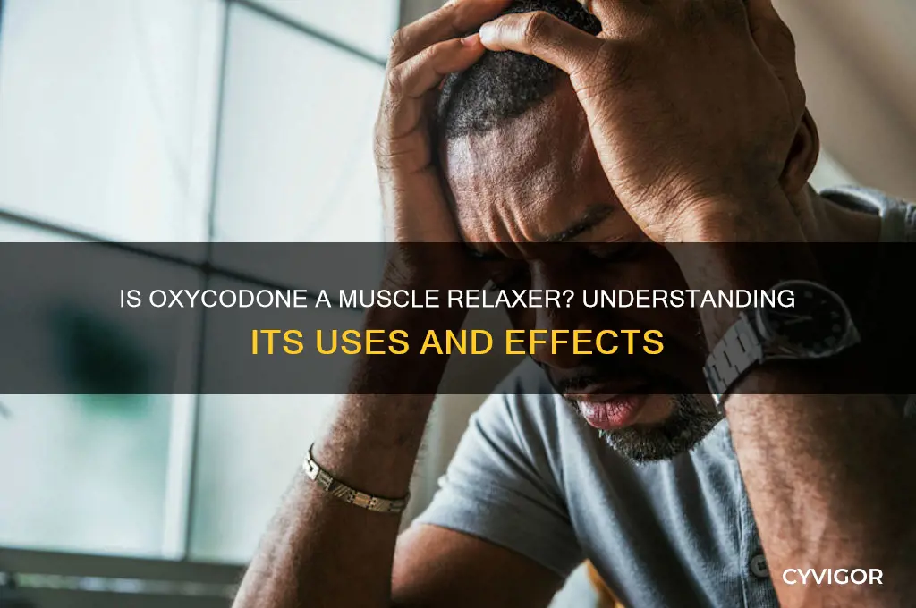 is oxycodone a muscle relaxer