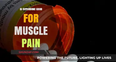 Oxycodone for Muscle Pain: Benefits, Risks, and Alternatives Explained