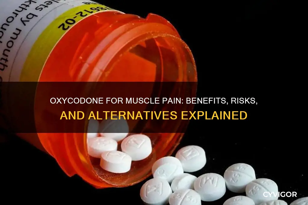 is oxycodone good for muscle pain