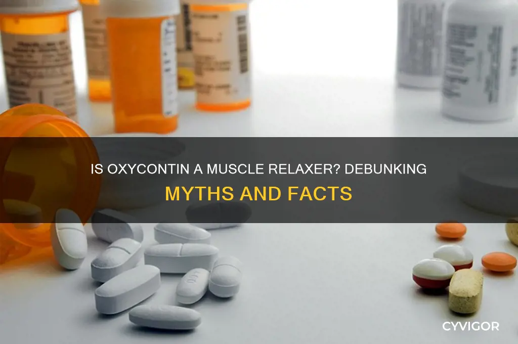 is oxycontin a muscle relaxer