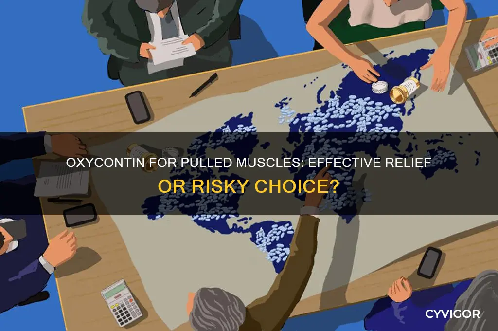 is oxycontin good for pulled muscles