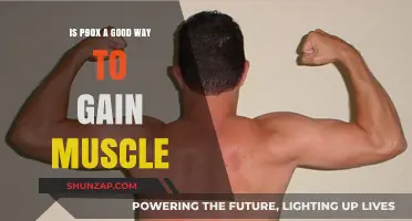P90X Muscle Building: Effective Workout or Overhyped Program?