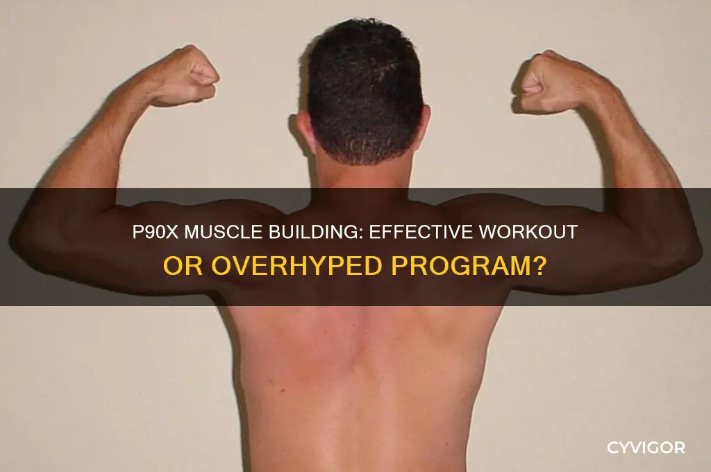 is p90x a good way to gain muscle