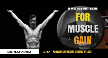 P90X vs Insanity: Which Workout Builds More Muscle?