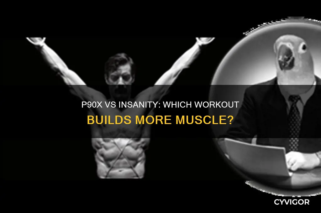 is p90x or insanity better for muscle gain