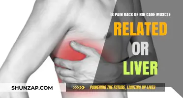 Back of Rib Cage Pain: Muscle Strain or Liver Issue?