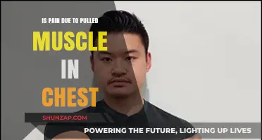 Pulled Chest Muscle Pain: Causes, Symptoms, and Effective Relief Tips