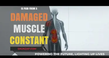 Is Muscle Pain Constant? Understanding Damaged Muscle Discomfort Patterns