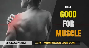 Is Pain a Necessary Evil for Muscle Growth and Recovery?