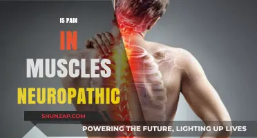 Is Muscle Pain Neuropathic? Understanding the Link and Causes