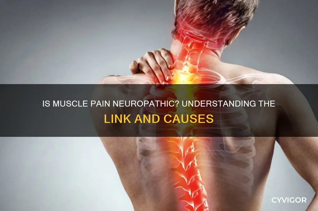 is pain in muscles neuropathic