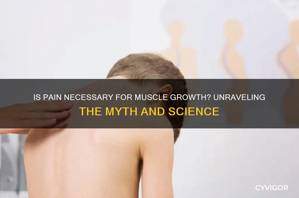 is pain necessary for muscle growth