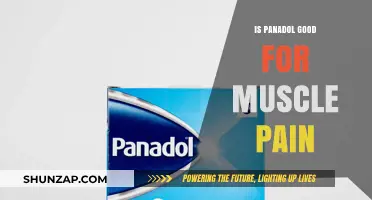 Is Panadol Effective for Muscle Pain Relief? A Comprehensive Guide
