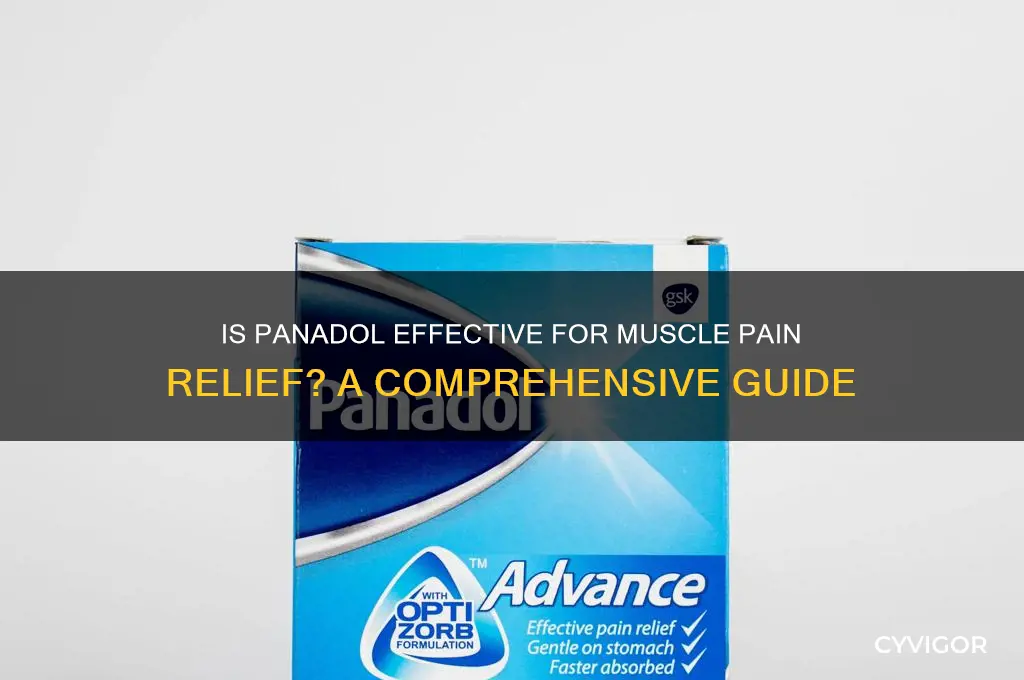 is panadol good for muscle pain