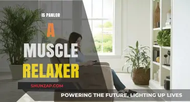 Is Panlor a Muscle Relaxer? Understanding Its Uses and Effects