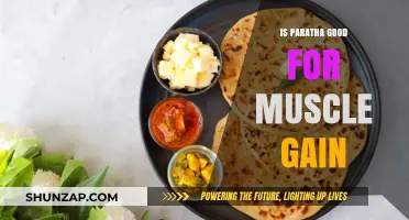 Paratha for Muscle Gain: A Nutritious Carb Choice?