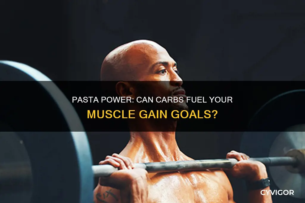 is pasta good for muscle gain