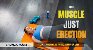 The PC Muscle: Erection and More
