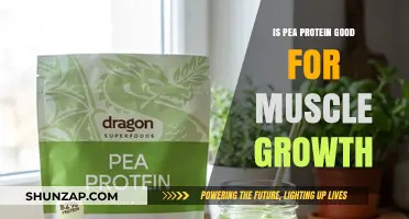 Unlocking Muscle Growth: The Power of Pea Protein Revealed