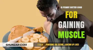 Peanut Butter for Muscle Gain: Benefits, Nutrition, and Effective Use