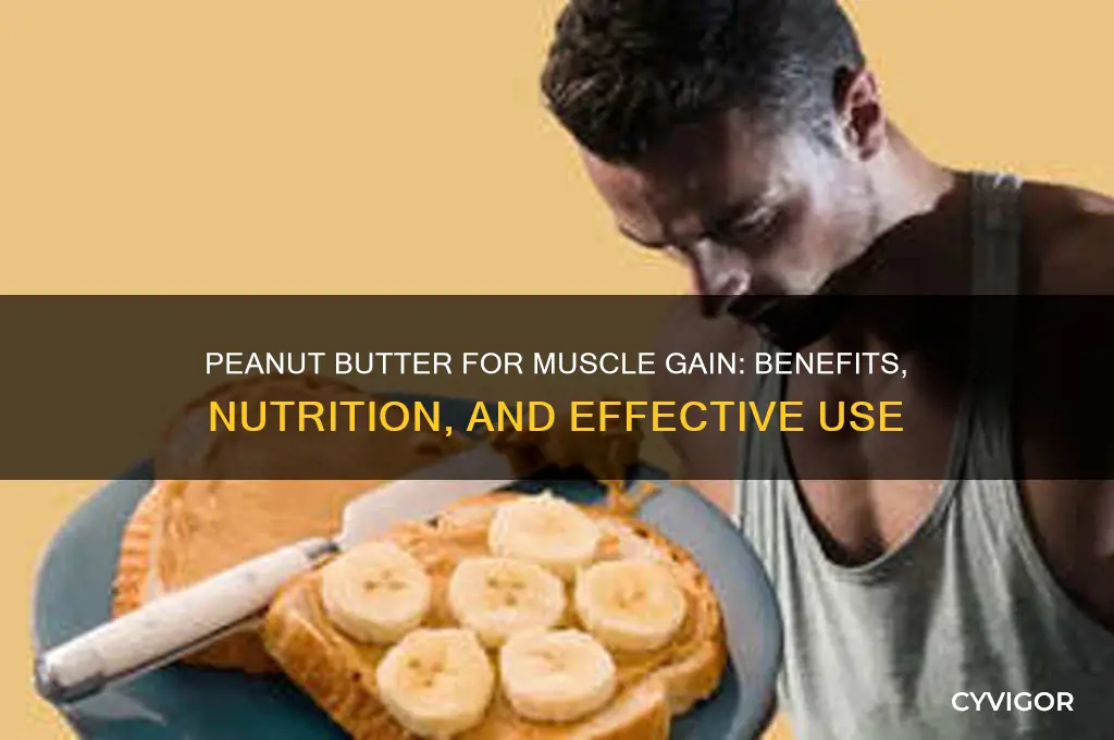 is peanut butter good for gaining muscle