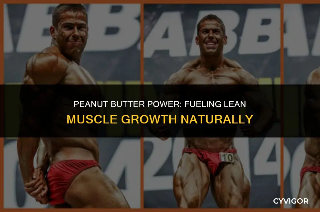 is peanut butter good for lean muscle
