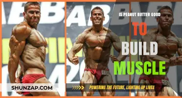Peanut Butter Power: A Nutty Approach to Muscle Building