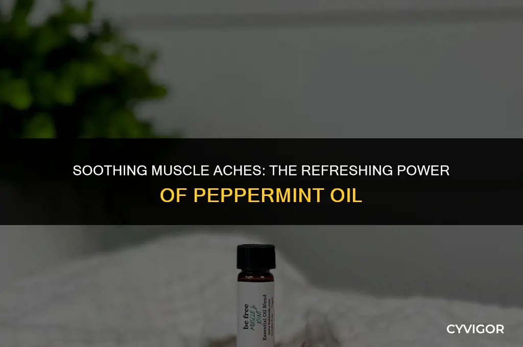 is peppermint oil good for muscle aches