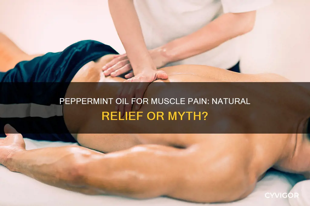 is peppermint oil good for muscle pain