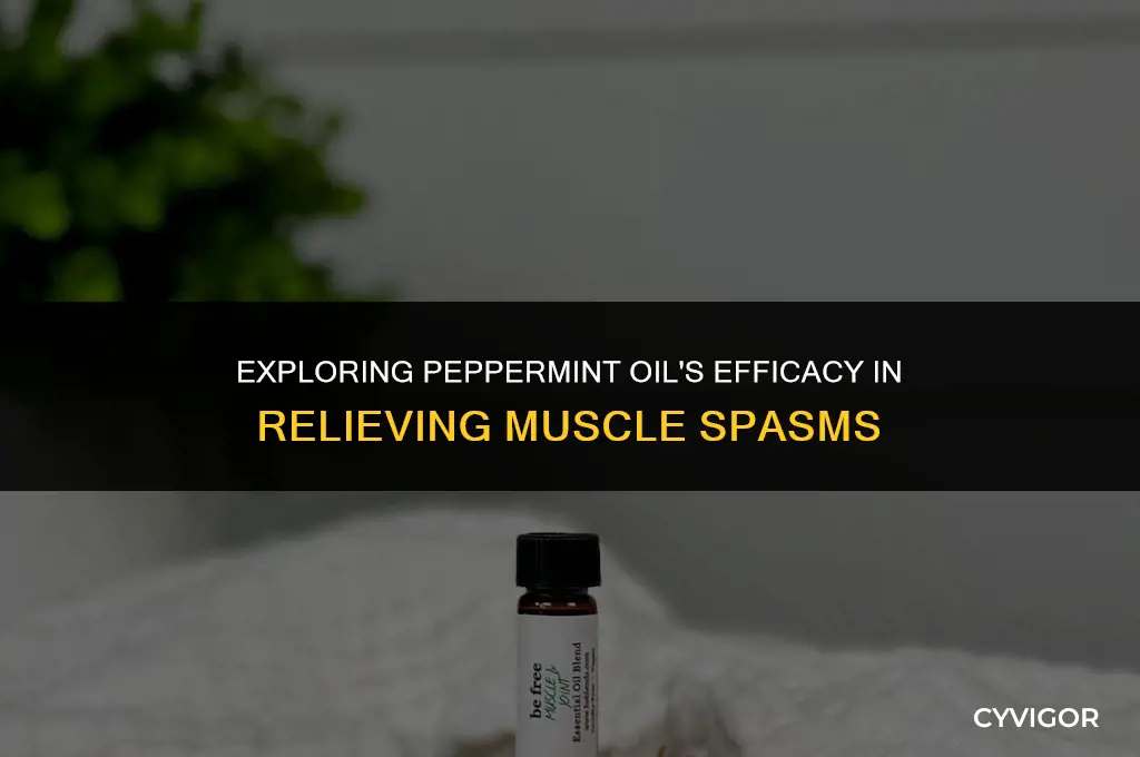 is peppermint oil good for muscle spasms
