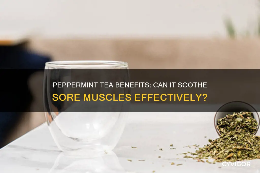 is peppermint tea good for sore muscles