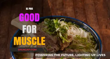 Exploring the Nutritional Benefits of Pho for Muscle Recovery