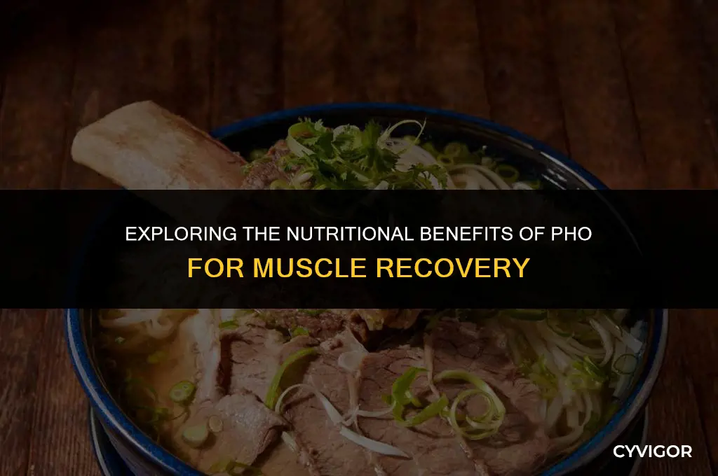 is pho good for muscle