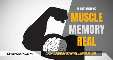 Muscle Memory for Photographers: Fact or Fiction?
