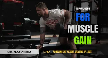 Is PHUL Effective for Muscle Gain? A Comprehensive Analysis