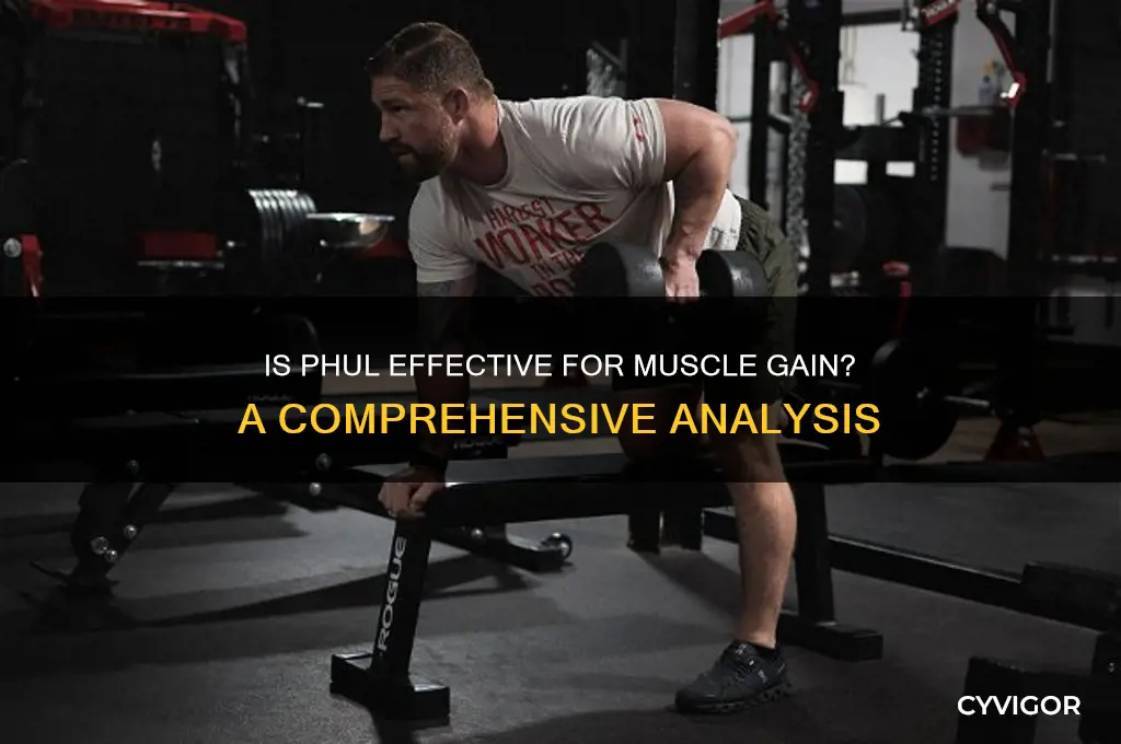 is phul good for muscle gain