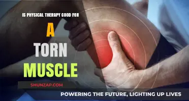 Healing Through Movement: The Benefits of Physical Therapy for Torn Muscles