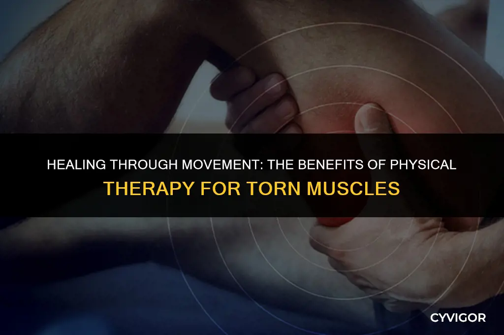 is physical therapy good for a torn muscle