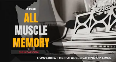 Mastering Piano: Muscle Memory or More?