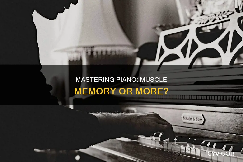 is piano all muscle memory