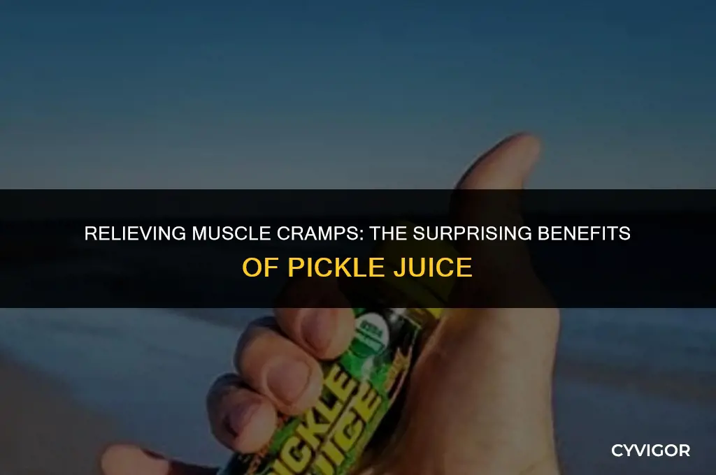 is pickle back juice good for muscle cramps