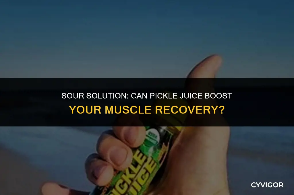 is pickle juice good for muscle recovery