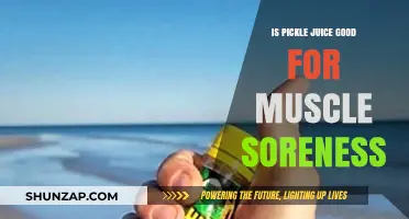Relief in a Jar: The Surprising Benefits of Pickle Juice for Muscle Soreness
