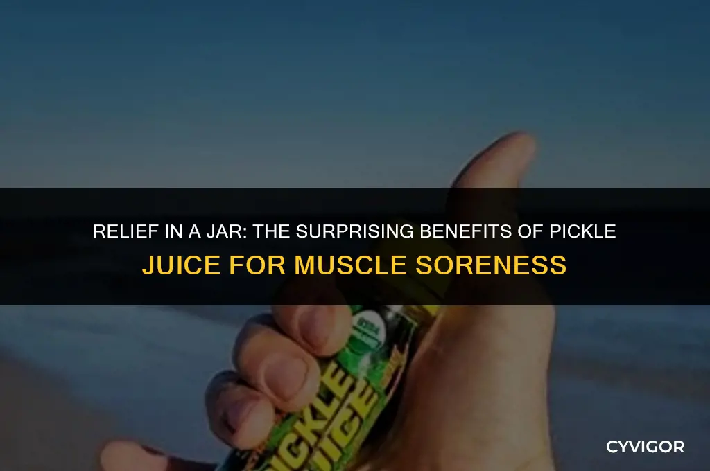 is pickle juice good for muscle soreness