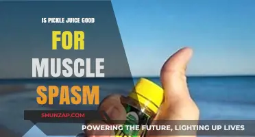 Exploring the Benefits of Pickle Juice for Muscle Spasms