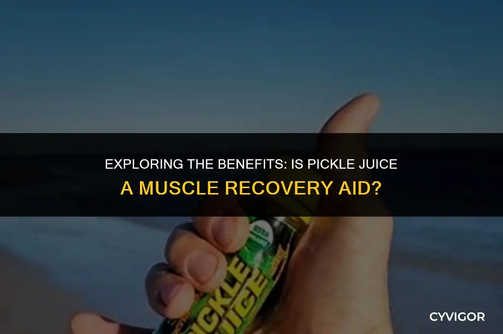 is pickle juice good for muscles