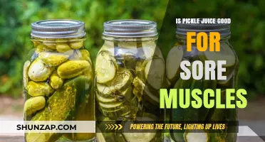 Pickle Juice for Sore Muscles: Myth or Effective Recovery Aid?