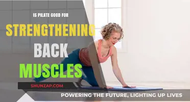 Pilates for Back Strength: Effective Exercises and Benefits
