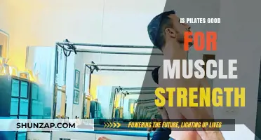 Pilates Power: Unveiling the Truth About Muscle Strength